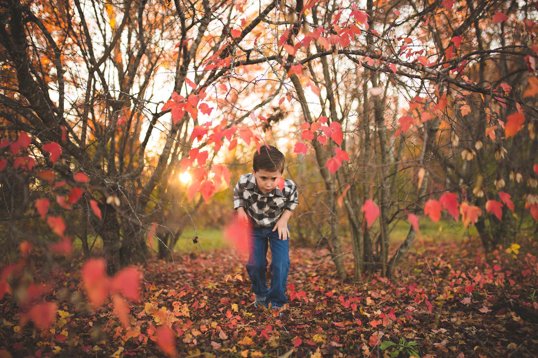 boy plays at sunset on old tree farm