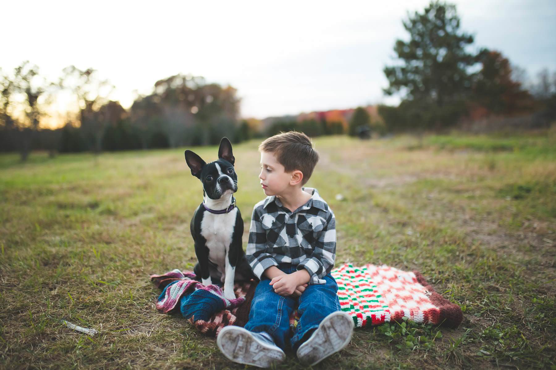 boy plays with his dog on a tree farm 